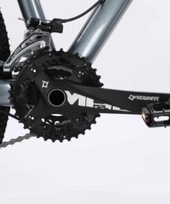 Củ đề trước và đùi đĩa Calli 6100