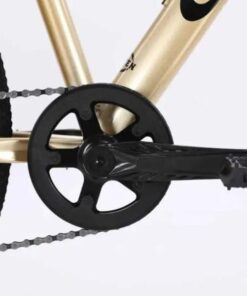 Đùi đĩa Xe đạp calli M430