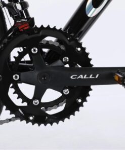 Đĩa và gạt đĩa Xe đạp Calli R3.5