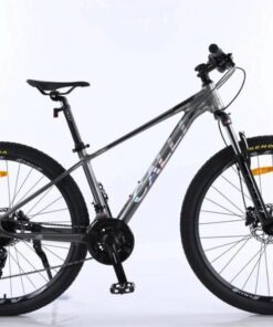 Xe đạp Calli 4100 màu ghi