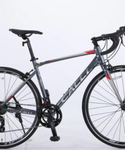 Xe đạp Calli R3.5 màu ghi