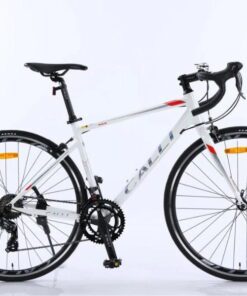 Xe đạp Calli R3.5 màu trắng