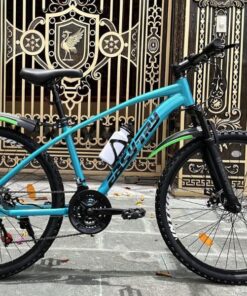 Xe đạp Easy Try khung nhôm màu xanh