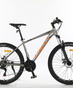 xe đạp Calli 2100 màu bạc