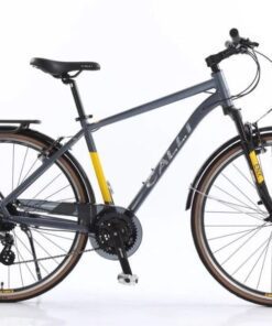 xe đạp Calli H3000 màu xám vàng