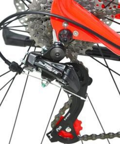 Củ đề Sau Xe đạp Life Century