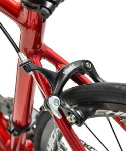 Cụm Phanh Sau Xe đạp Life Moon