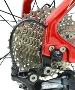 Xe đạp đua Life Captian khung Carbon linh kiện Shimano Nhật 42 Líp thả xe đạp Life captian