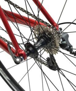 Xe đạp touring Life Journey giảm giá 266K 52 Mayo Sau Xe đạp Life Journey