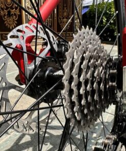 Phanh đĩa líp thả Xe đạp đua Veego