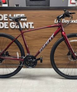 Xe đạp Giant Escape 2D bản 2024 màu đỏ mận