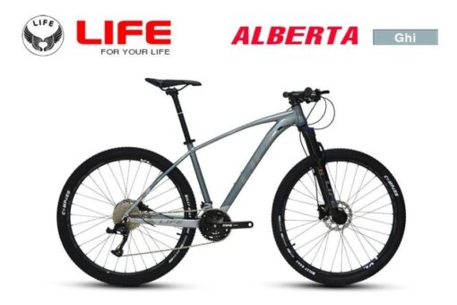 Xe đạp địa Hình Life Alberta Màu Ghi