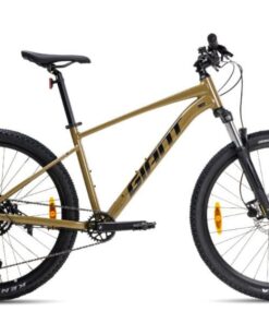 Xe đạp địa hình Giant Talon 2 bản 2024 (bánh 27,5 và 29inch) giảm giá 1M 12 Xe đạp giant Talon 2 bản 2024 màu đồng