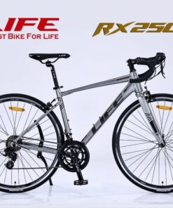 Xe đạp đua Life RX250 giảm giá 1 triệu 28 Xe đạp life rx250 màu xám bạc