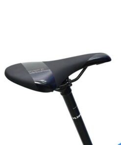 Xe đạp địa hình Life Alberta giảm 666K 38 Yên Xe đạp địa Hình Life Alberta