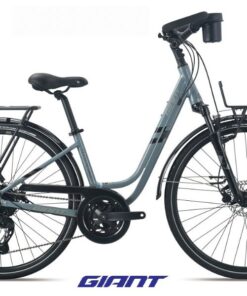 Xe đạp nữ Giant Trooper 5300 bản 2024 mẫu nữ giảm giá + KM 22 Xe đạp Giant Trooper 5300 Bản 2024 Màu Xanh