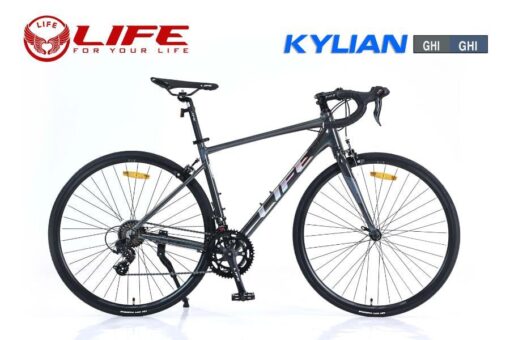 xe đua life kylian màu ghi (2)