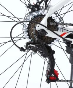 Củ đề Sau Xe đạp đua Fascino 828