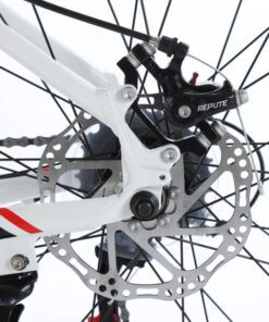 Cụm Phanh đĩa Sau Xe đạp đua Fascino 828