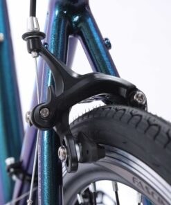 Cụm Phanh Sau Xe đạp Touring Fascino 838