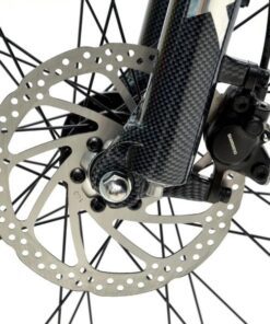 Cụm Phanh Trước Xe đạp điện Trợ Lực Life Vision