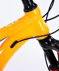 Dây Cáp đi âm Xe đạp địa Hình Life Icex 26