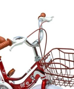 Tay Lái Và Giỏ Xe đạp Life Baby4-16