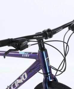 Xe đạp touring Fascino 818 giảm giá 299K 20 Tay Lái Xe đạp Touring Fascino 818