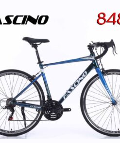Xe đạp đua Fascino 848 Màu Xanh đổi Màu 71