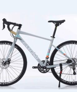 Xe đạp đua Fascino Triton