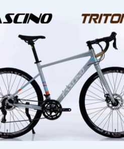Xe đạp đua Fascino Triton Màu đất Sét