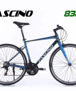 Xe đạp Touring Fascino 838 Màu Xanh đổi Màu 71