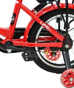 Phần Bánh Sau Xe đạp Life Baby1 16
