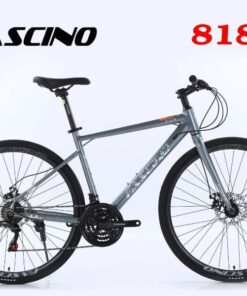 Xe đạp touring Fascino 818 giảm giá 299K 18 Xe đạp Touring Fascino 818 Màu Ghi Bạc