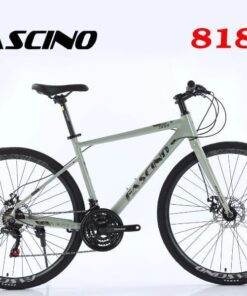 Xe đạp touring Fascino 818 giảm giá 299K 17 Xe đạp Touring Fascino 818 Màu Ghi đen