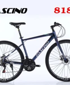 Xe đạp Touring Fascino 818 Xanh đổi Màu 73