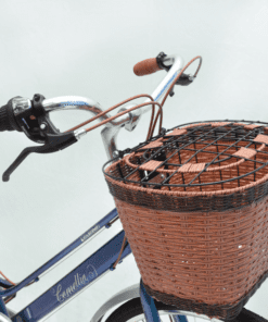 Xe đạp mini nữ Fascino Camellia giảm giá 300K 43 Giỏ Xe đạp Mini Fascino Camellia