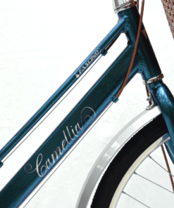 Xe đạp mini nữ Fascino Camellia giảm giá 300K 44 Khung Xe đạp Mini Fascino Camellia