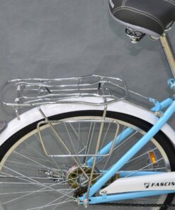 Phần Bánh Sau Xe đạp Mini Nữ Fascino Fm24