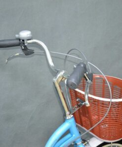 Tay Lái Xe đạp Mini Nữ Fascino Fm20