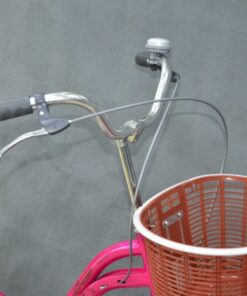 Xe đạp mini nữ Fascino FM22 giảm giá 200K 36 Tay Lái Xe đạp Mini Nữ Fascino Fm22