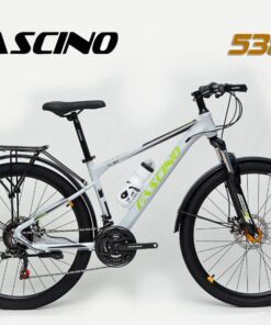 Xe đạp địa Hình Fascino 538 Màu Ghi Sáng
