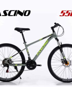 Xe đạp địa Hình Fascino 558 Màu Xám Vàng
