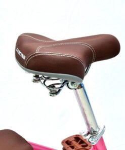 Xe đạp mini nữ Fascino FCD22 giảm giá 300K 29 Yên Xe đạp Mini Fascino Fcd22