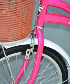 Xe đạp mini nữ Fascino FM22 giảm giá 200K 37 Phuộc Và Phanh Trước Xe đạp Mini Nữ Fascino Fm22