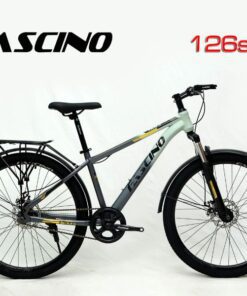 Xe đạp đia Hình Fascino 126s Màu đất Sét Ghi
