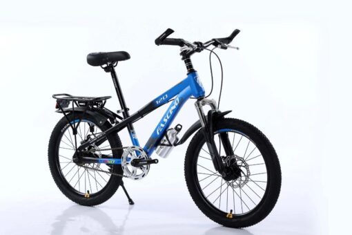 Xe đạp đia Hình Trẻ Em Fascino 120