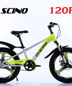 Xe đạp đia Hình Trẻ Em Fascino 120r Vành đúc Màu Bạc Vàng