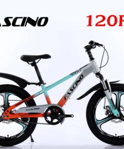 Xe đạp đia Hình Trẻ Em Fascino 120r Vành đúc Màu Cam Ghi