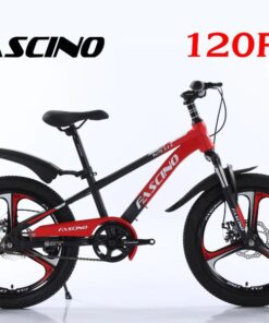 Xe đạp đia Hình Trẻ Em Fascino 120r Vành đúc Màu đen đỏ